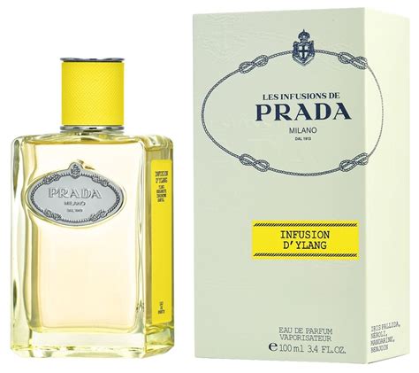 prada milano infusion d'ylang|prada beauty infusion d'ylang.